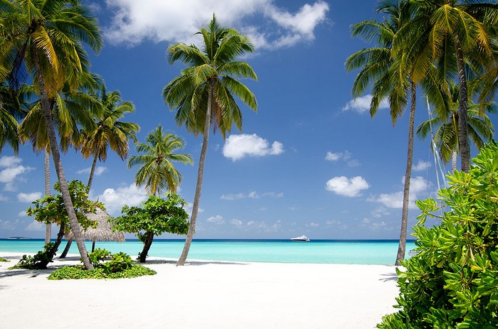 reethi_rah_maldives_pool_beach_resort_09_03_2012_6670.jpg