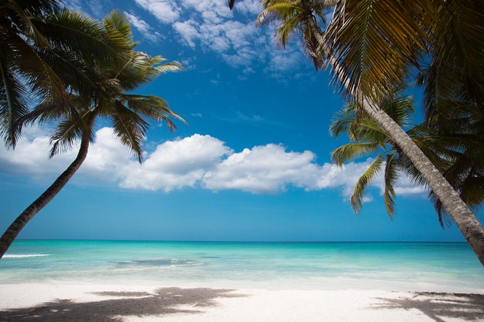 Пальмы пляж.jpg