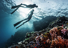 Где в Египте искать отели с коралловыми рифами